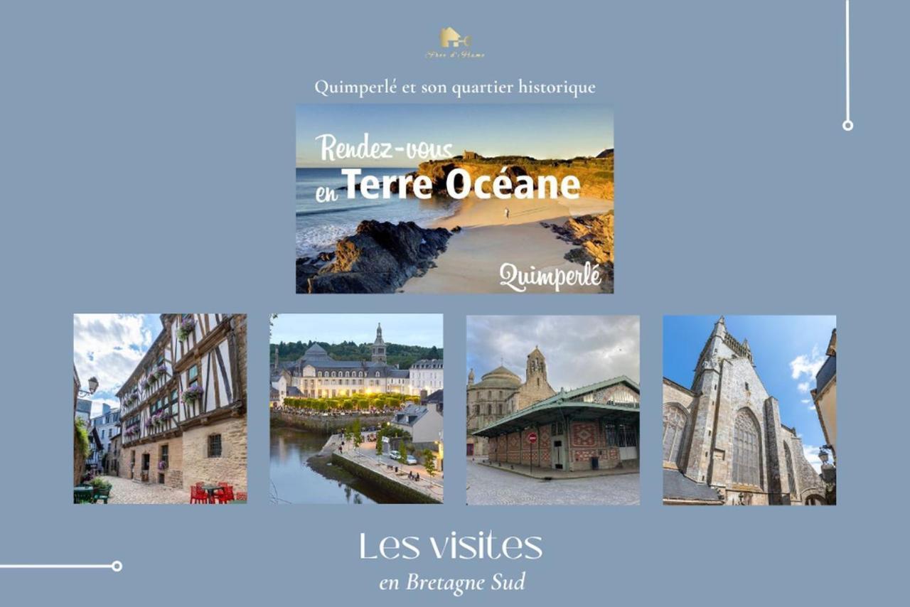 Le Tiguidou, Cosy, Lumineux, 2-6 Pers, Plage 300M Moëlan-sur-Mer Dış mekan fotoğraf