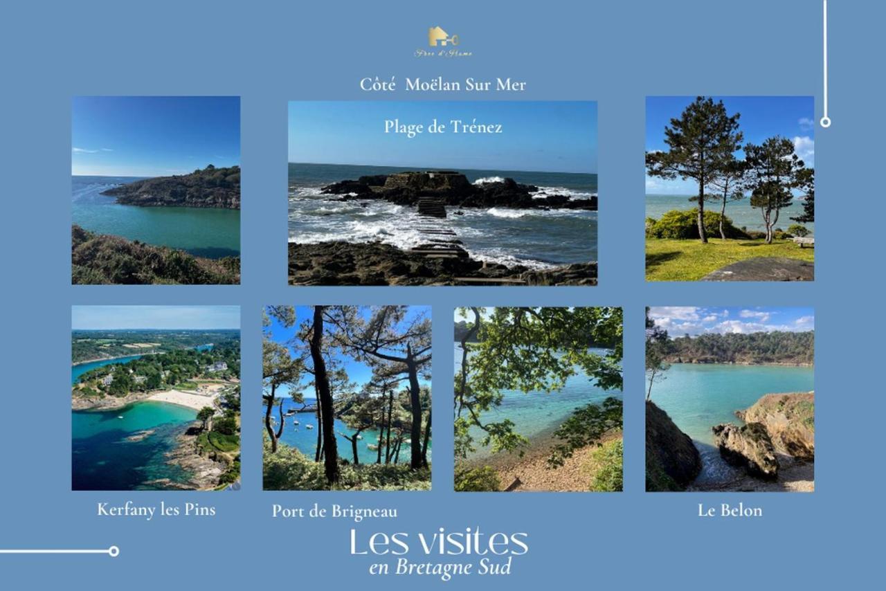 Le Tiguidou, Cosy, Lumineux, 2-6 Pers, Plage 300M Moëlan-sur-Mer Dış mekan fotoğraf